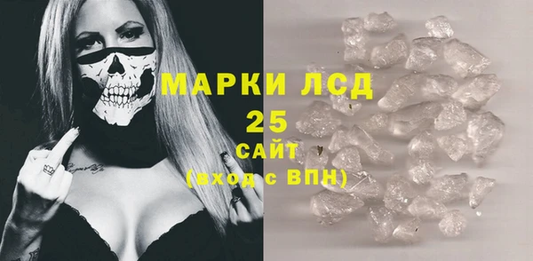 ПСИЛОЦИБИНОВЫЕ ГРИБЫ Богданович