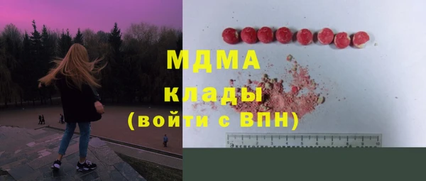 ПСИЛОЦИБИНОВЫЕ ГРИБЫ Богданович