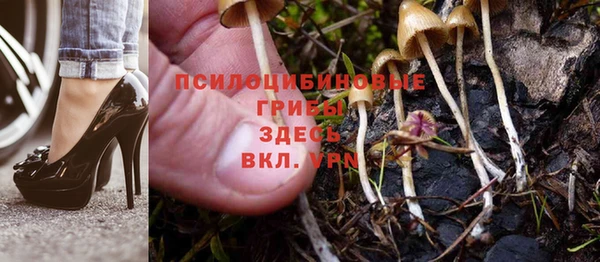 ПСИЛОЦИБИНОВЫЕ ГРИБЫ Богданович