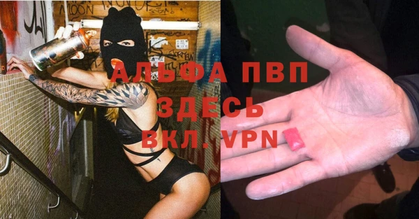 ПСИЛОЦИБИНОВЫЕ ГРИБЫ Богданович