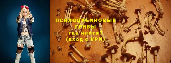 ПСИЛОЦИБИНОВЫЕ ГРИБЫ Богданович